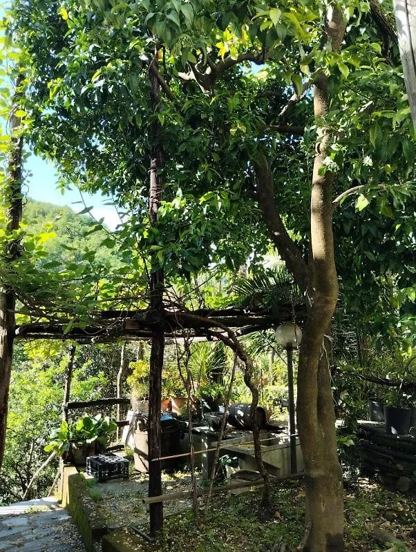Casa Indipendente Silenziosa, Super Relax Nel Verde A Pochi Minuti Dal Mare Cogorno