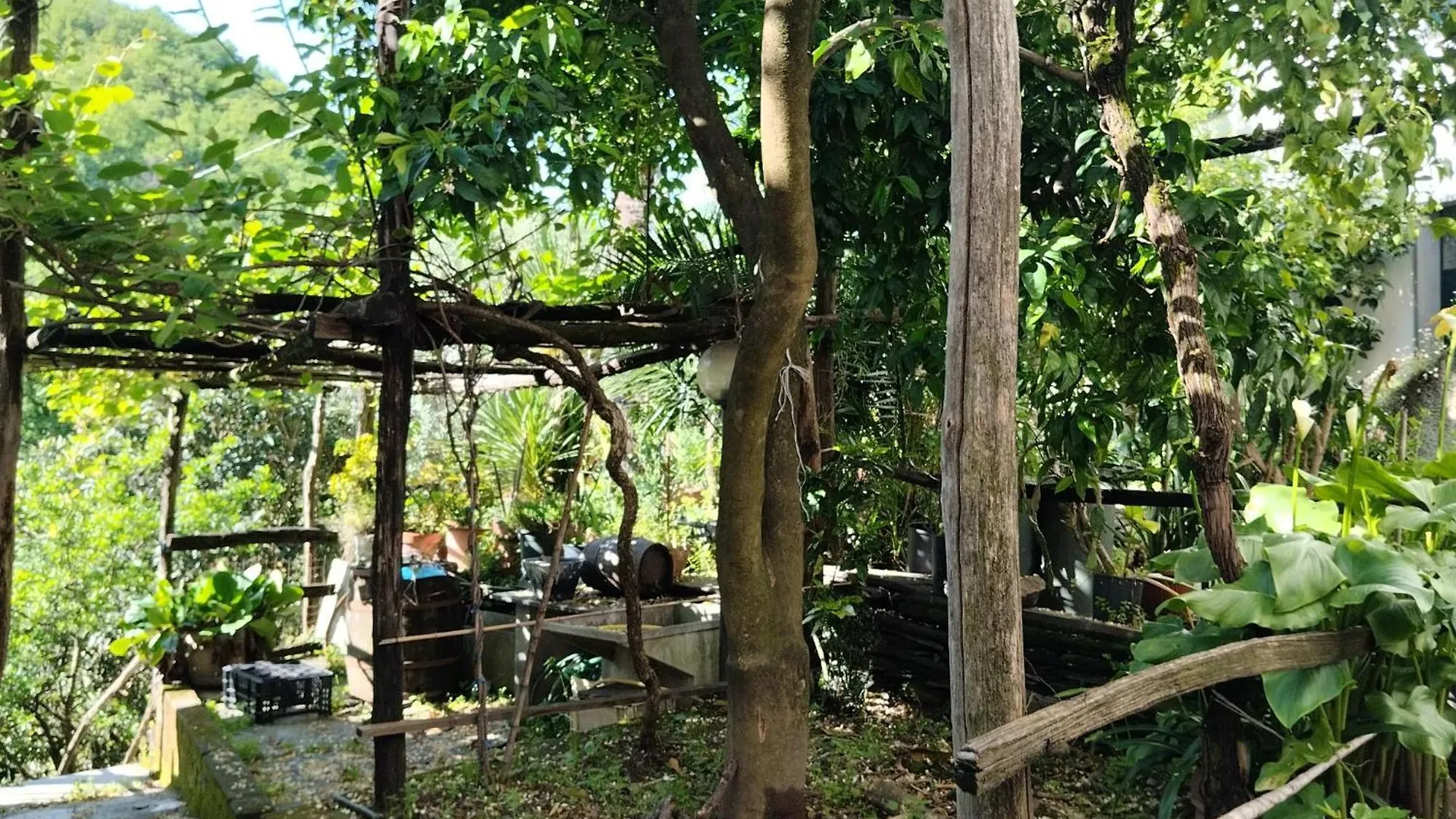 Casa Indipendente Silenziosa, Super Relax Nel Verde A Pochi Minuti Dal Mare Cogorno 0*,  이탈리아