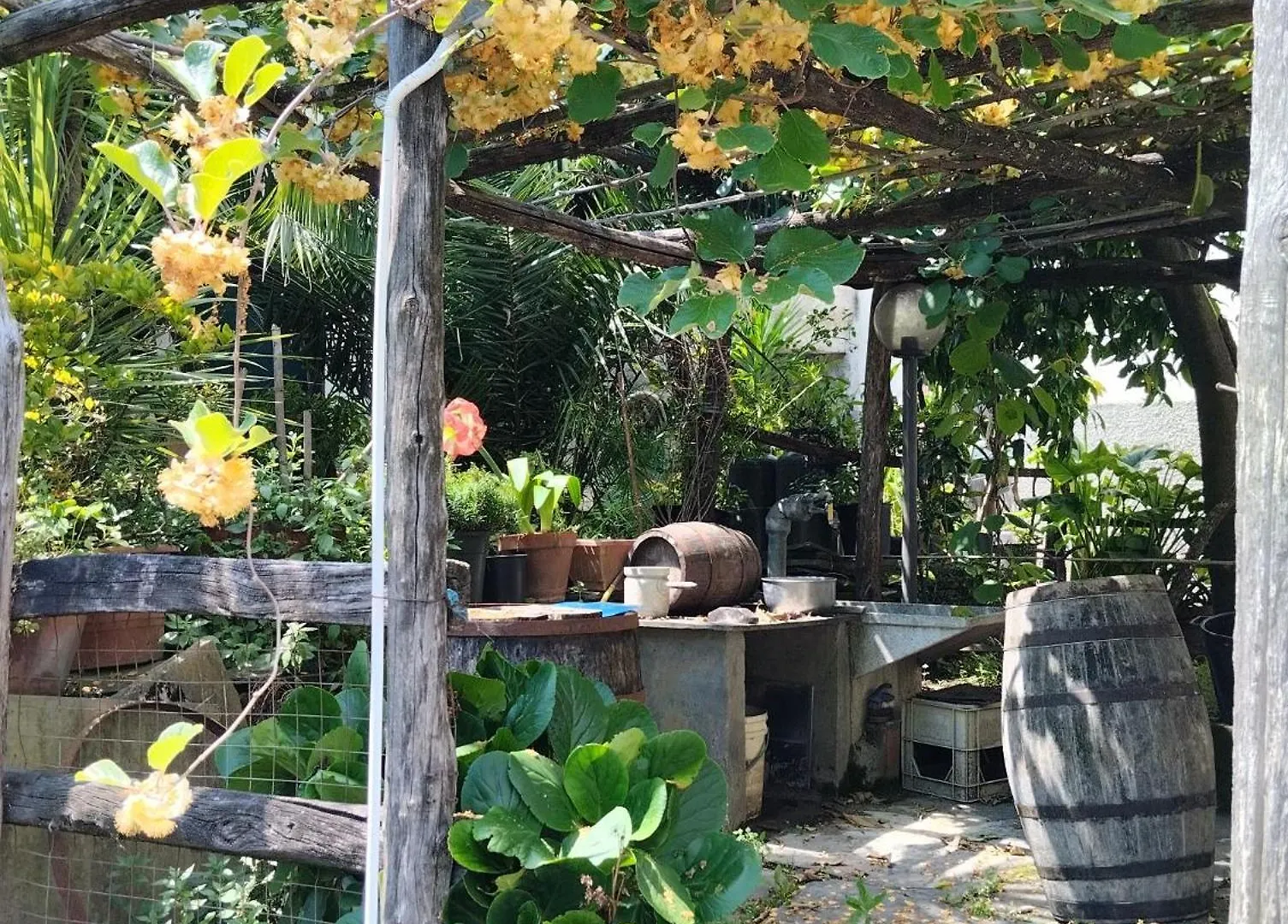 Casa Indipendente Silenziosa, Super Relax Nel Verde A Pochi Minuti Dal Mare Cogorno